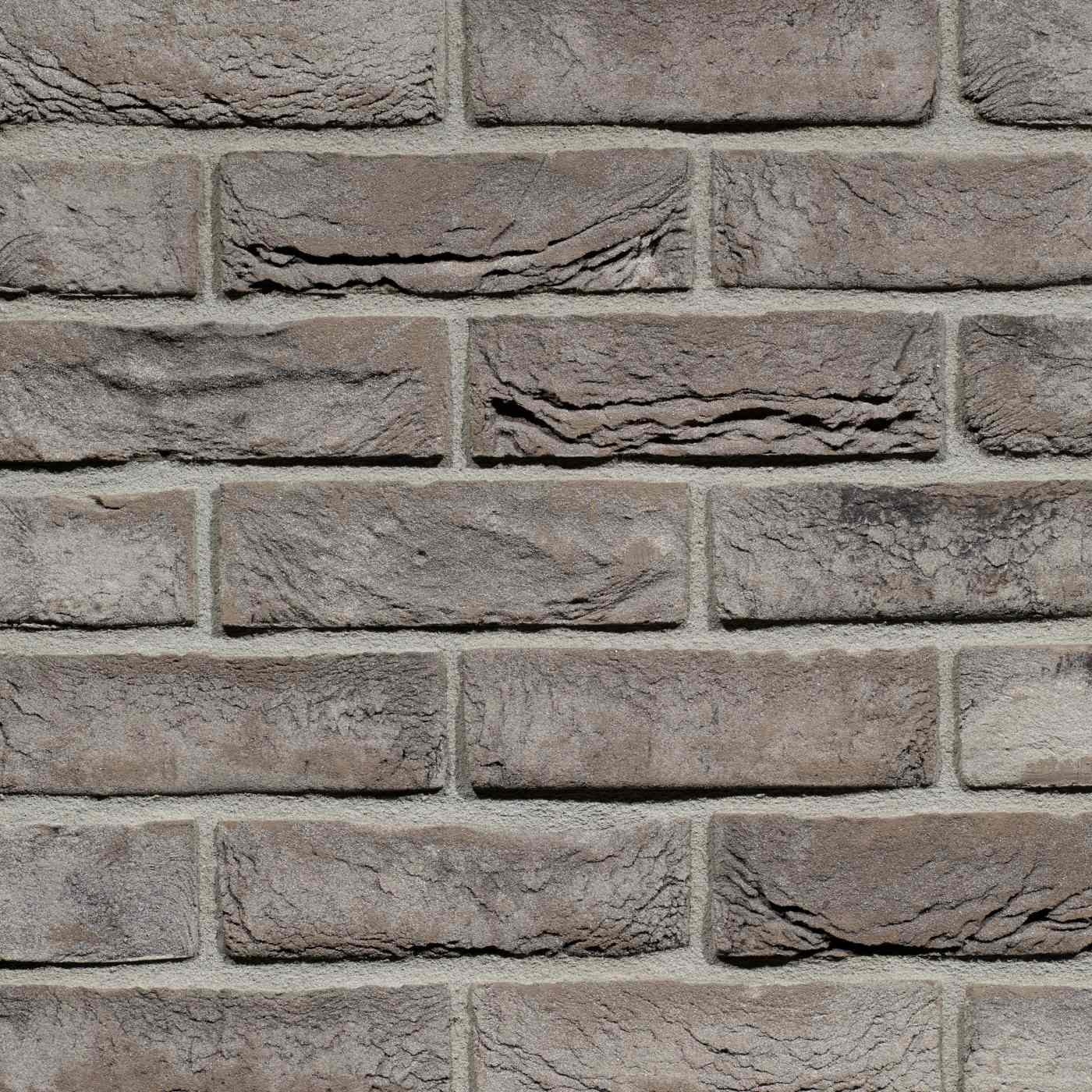 Productshot van de Iluzo Pagus Grijs-Zwart HV EF gevelbaksteen