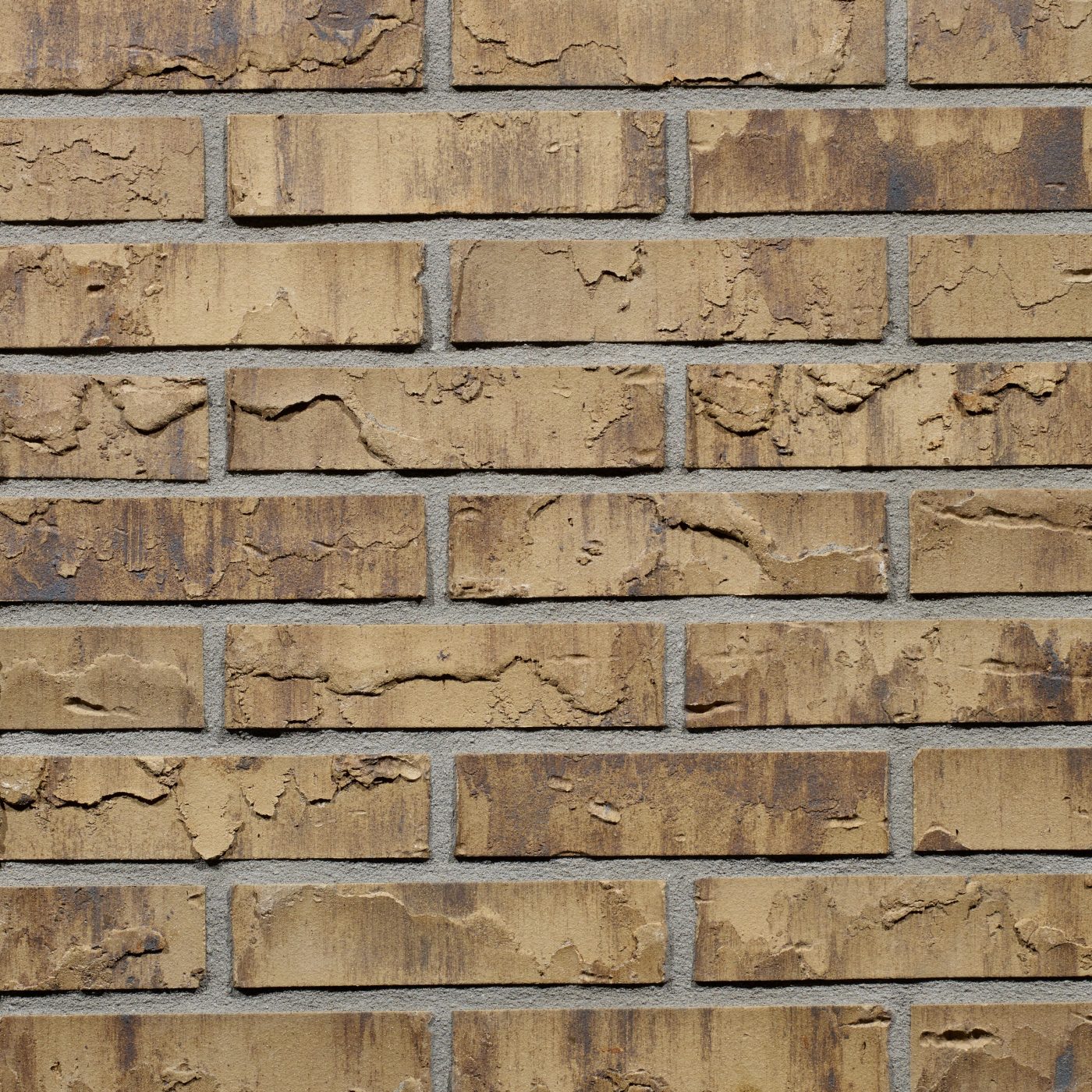 Productshot van de Puttywood SP WF gevelbaksteen