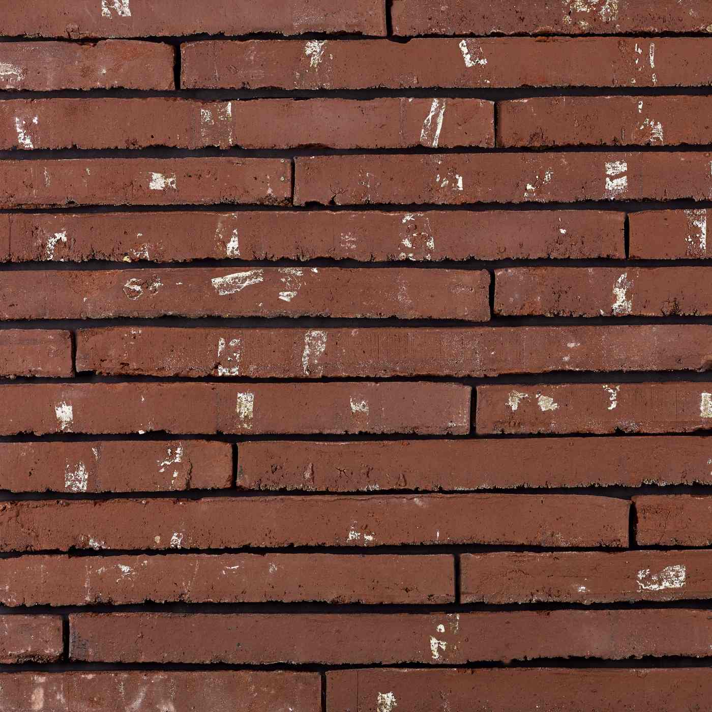 Productshot van de Speciaal Rood WS LF495 gevelbaksteen