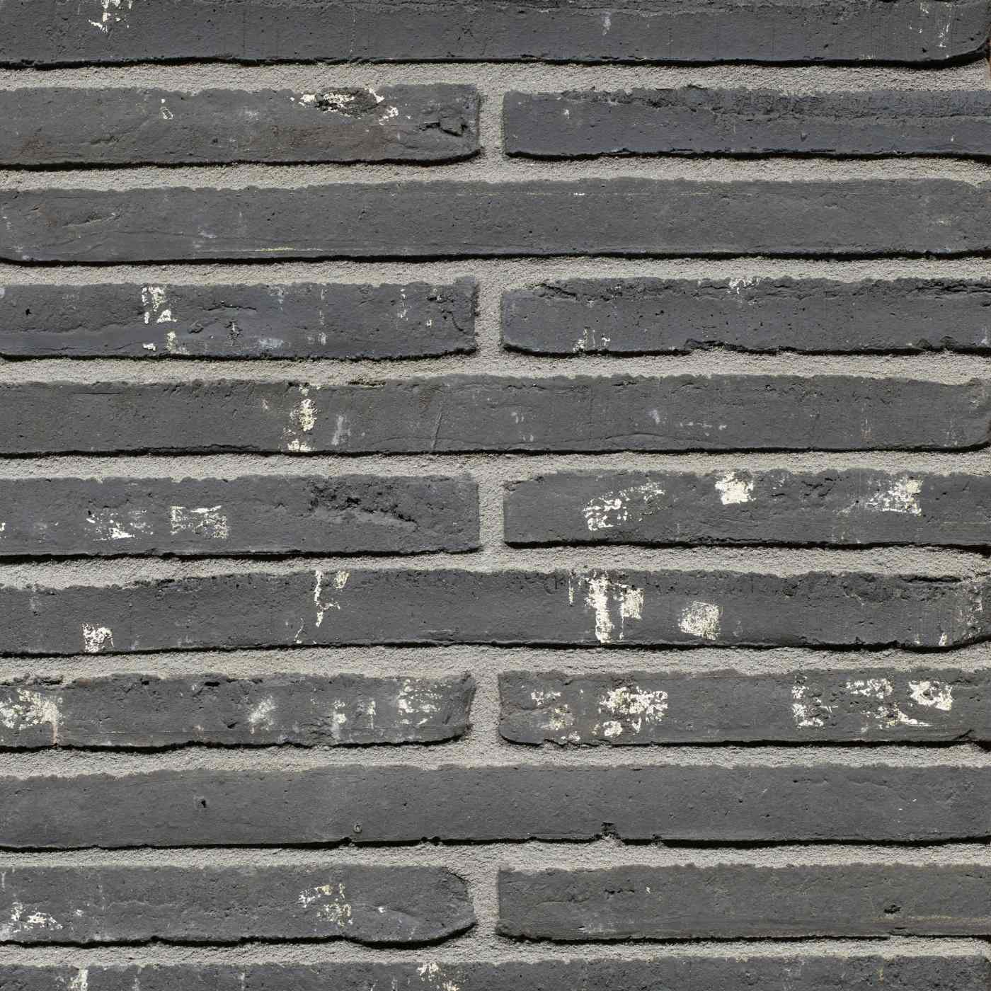 Productshot van de Speciaal Zwart WS LF495 gevelbaksteen