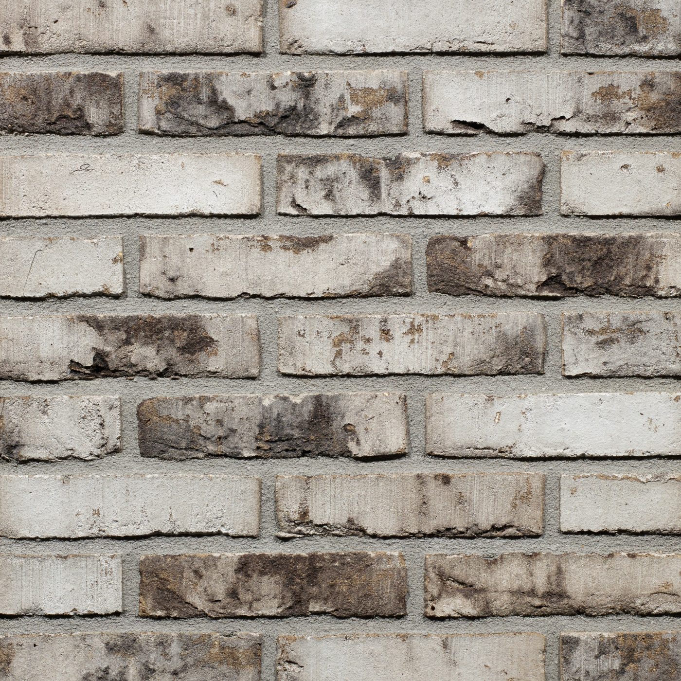 Productshot van de Tamarin Falls WS WF gevelbaksteen