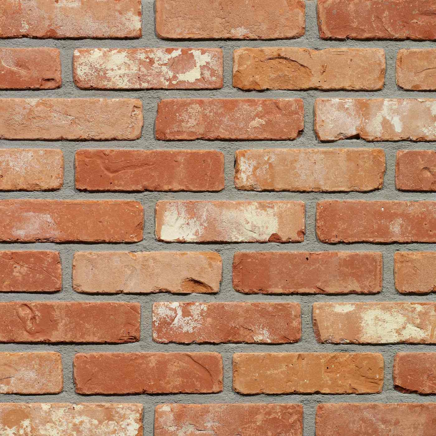 Productshot van de Tongerse SP RV gevelbaksteen