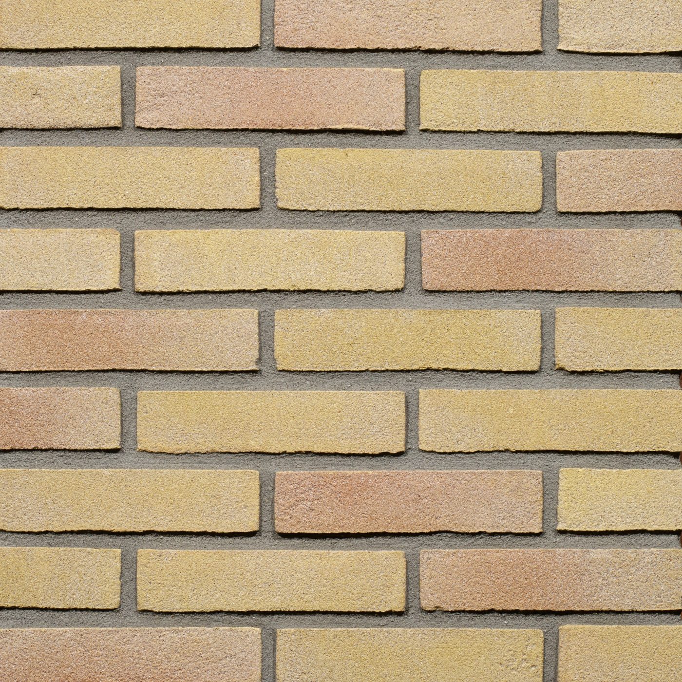 Productshot van de Geel Genuanceerd VB WF gevelbaksteen