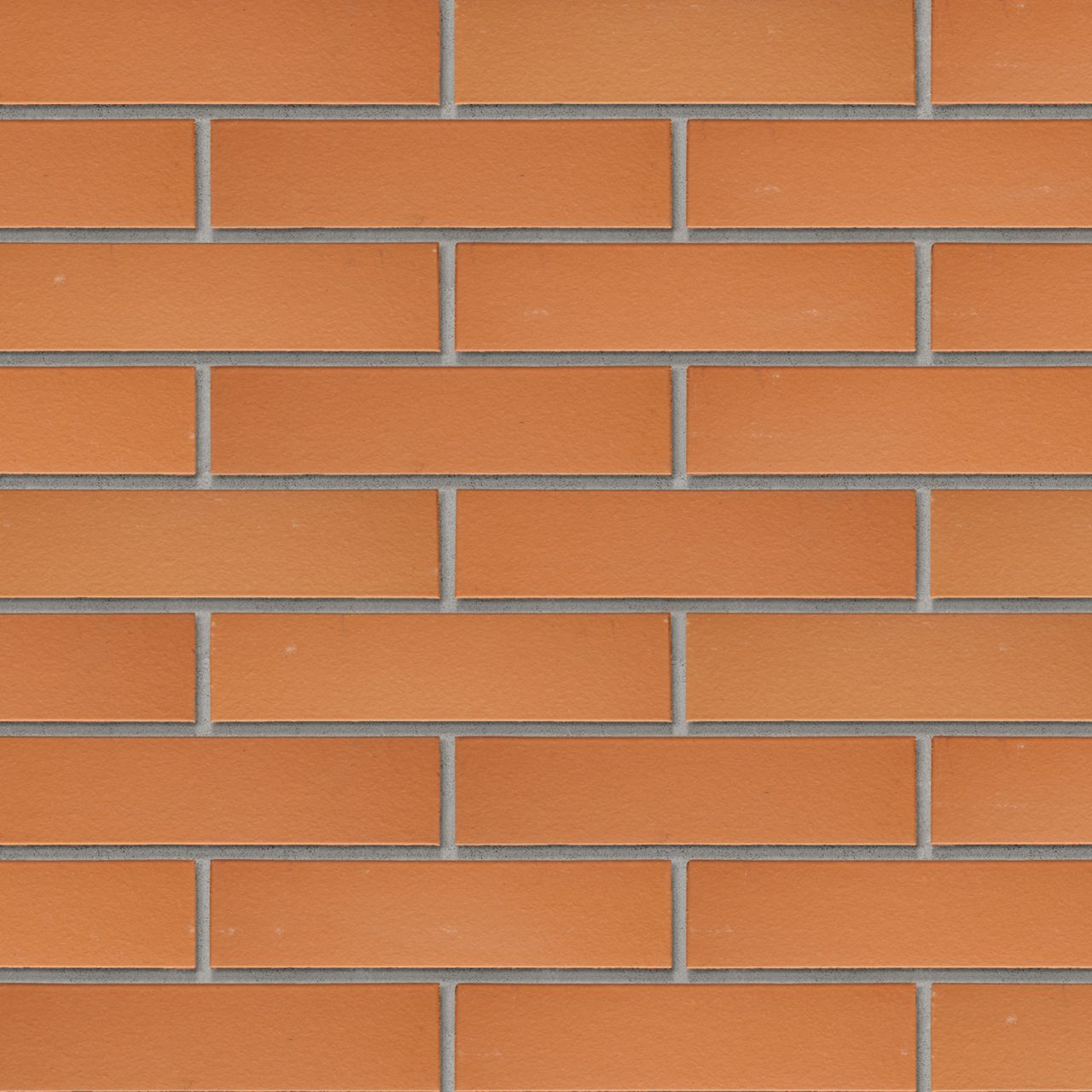 Productshot van de Blush Red SP WF