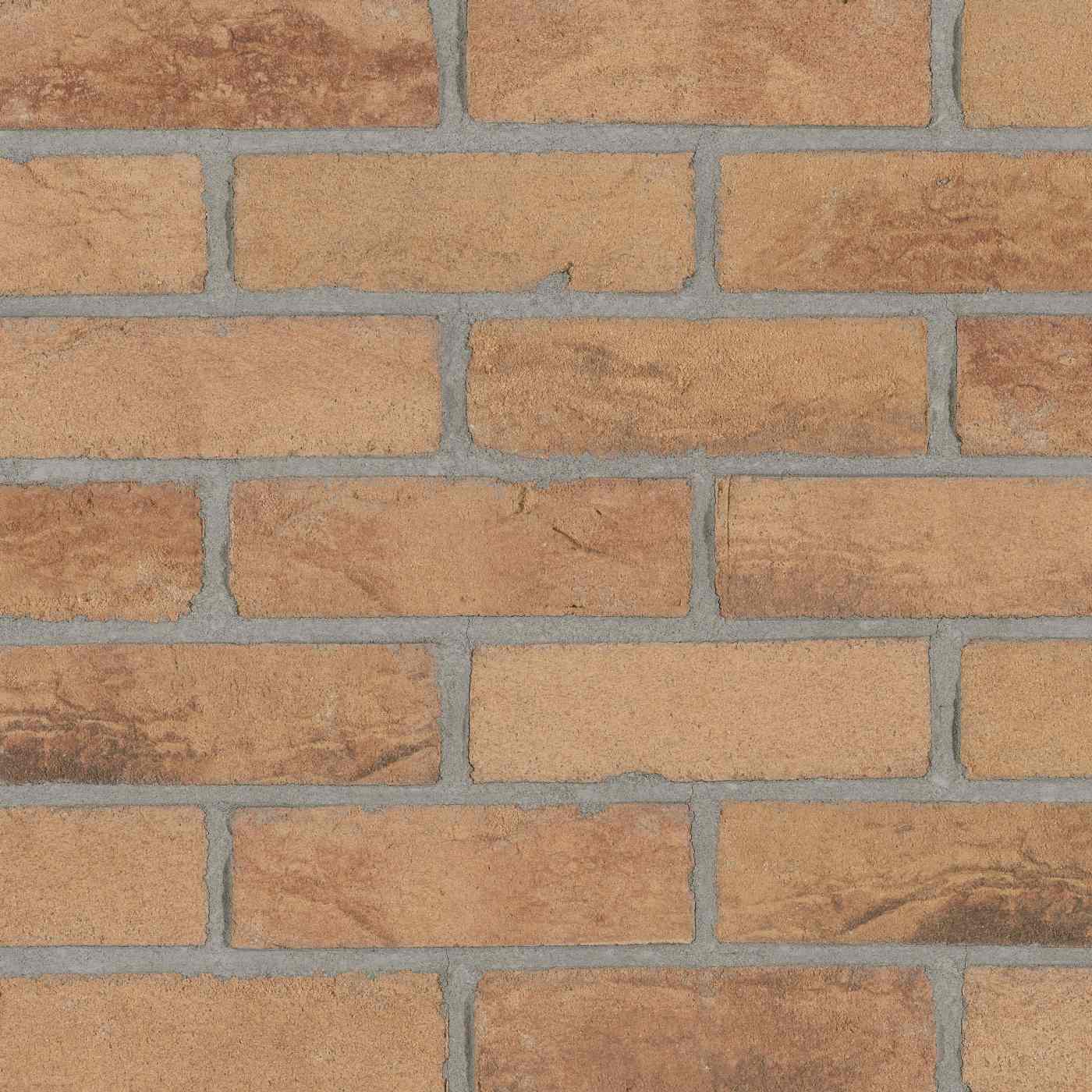 Productshot van de Elbe Sand HV EF Strip 18 mm