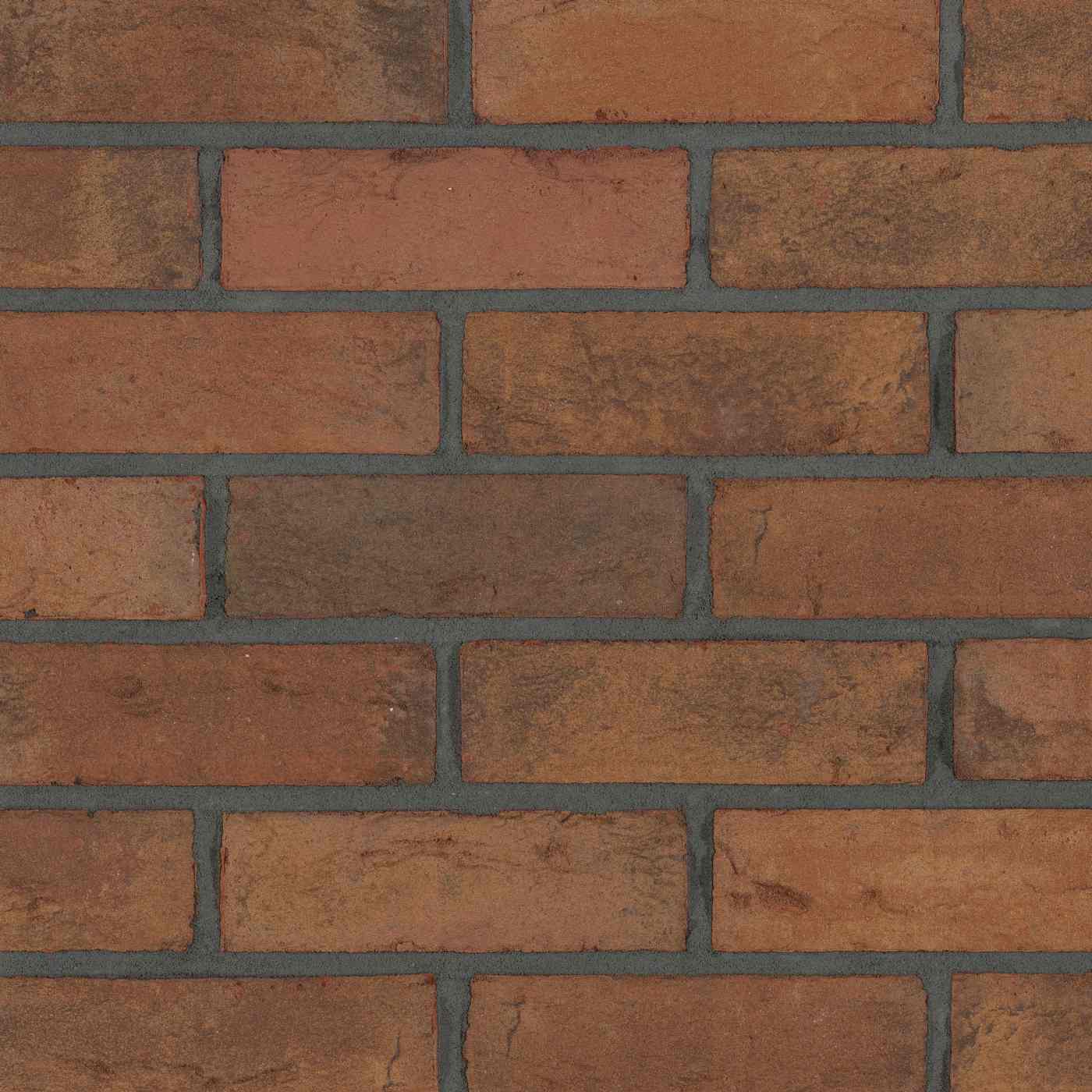 Productshot van de Haldon Red HV EF Strip 18 mm