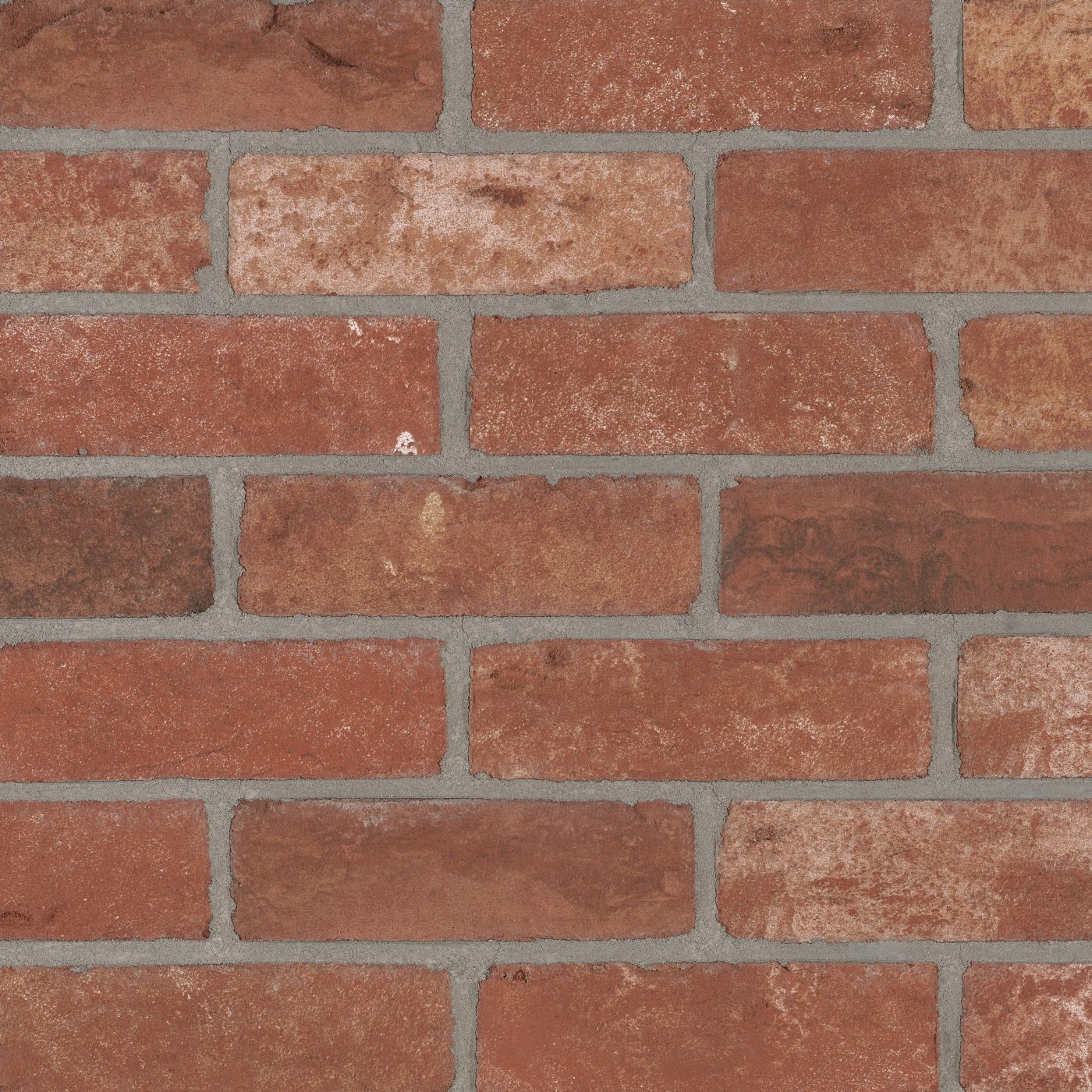 Productshot van de Morvan Red HV EF Strip 18 mm