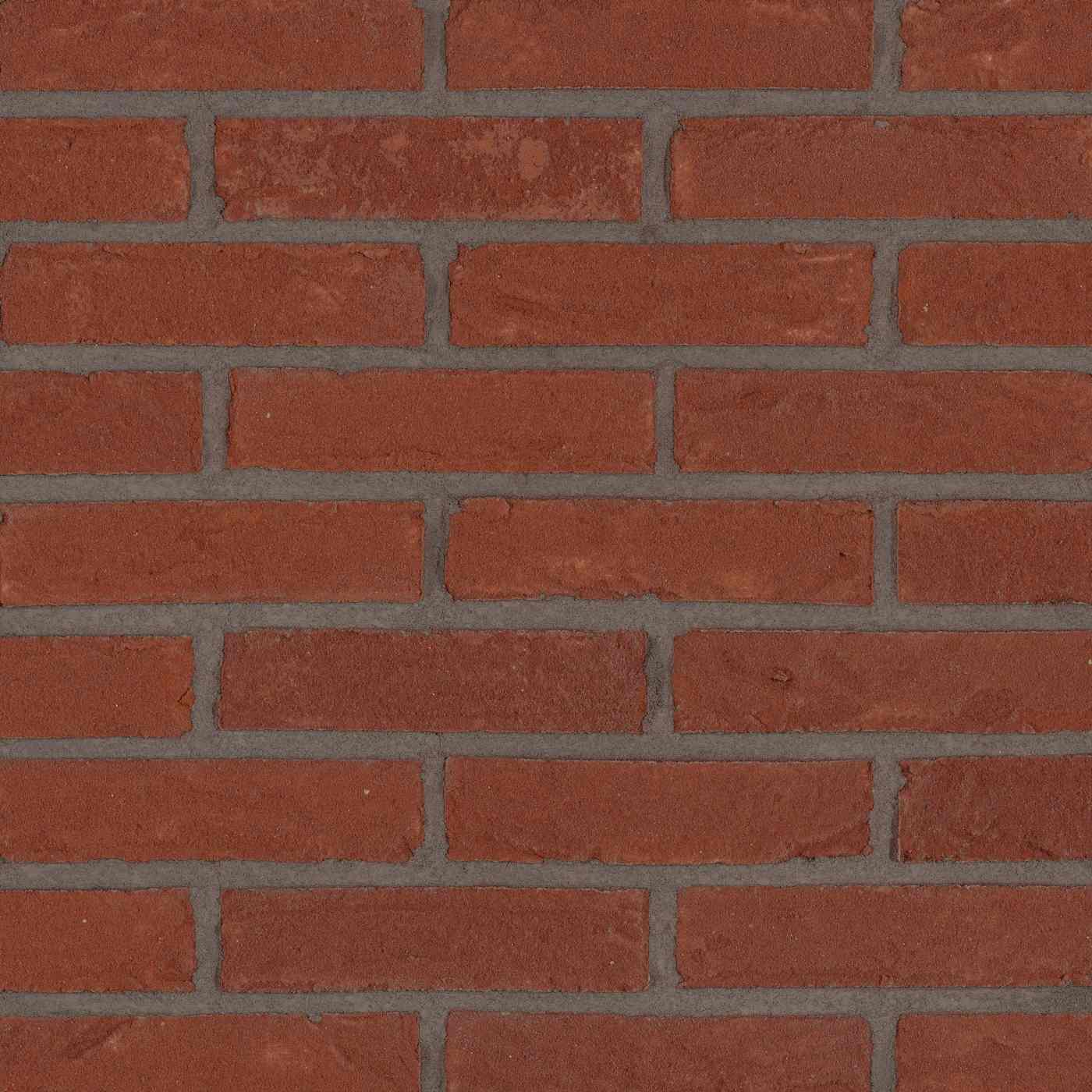 Productshot van de Rila Red HV WF Strip 18 mm