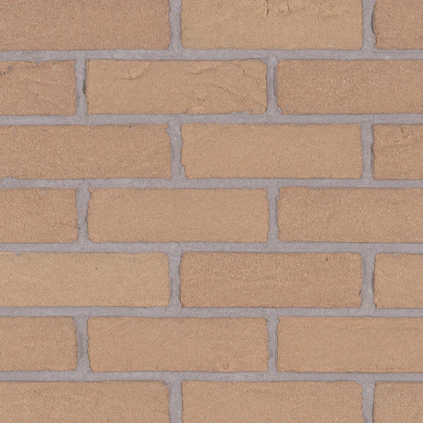 Productshot van de Saxon Beige HV EF Strip 18 mm