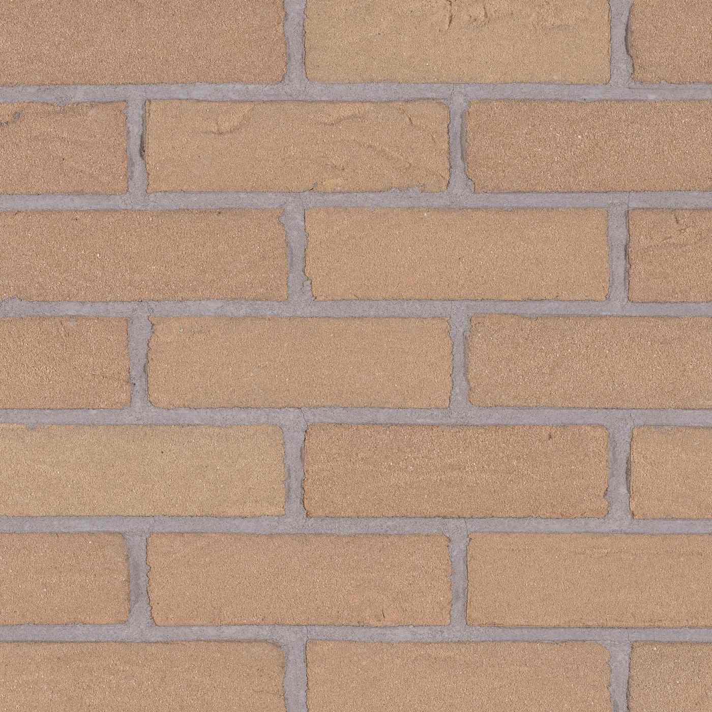 Productshot van de Saxon Beige HV EF Strip 18 mm