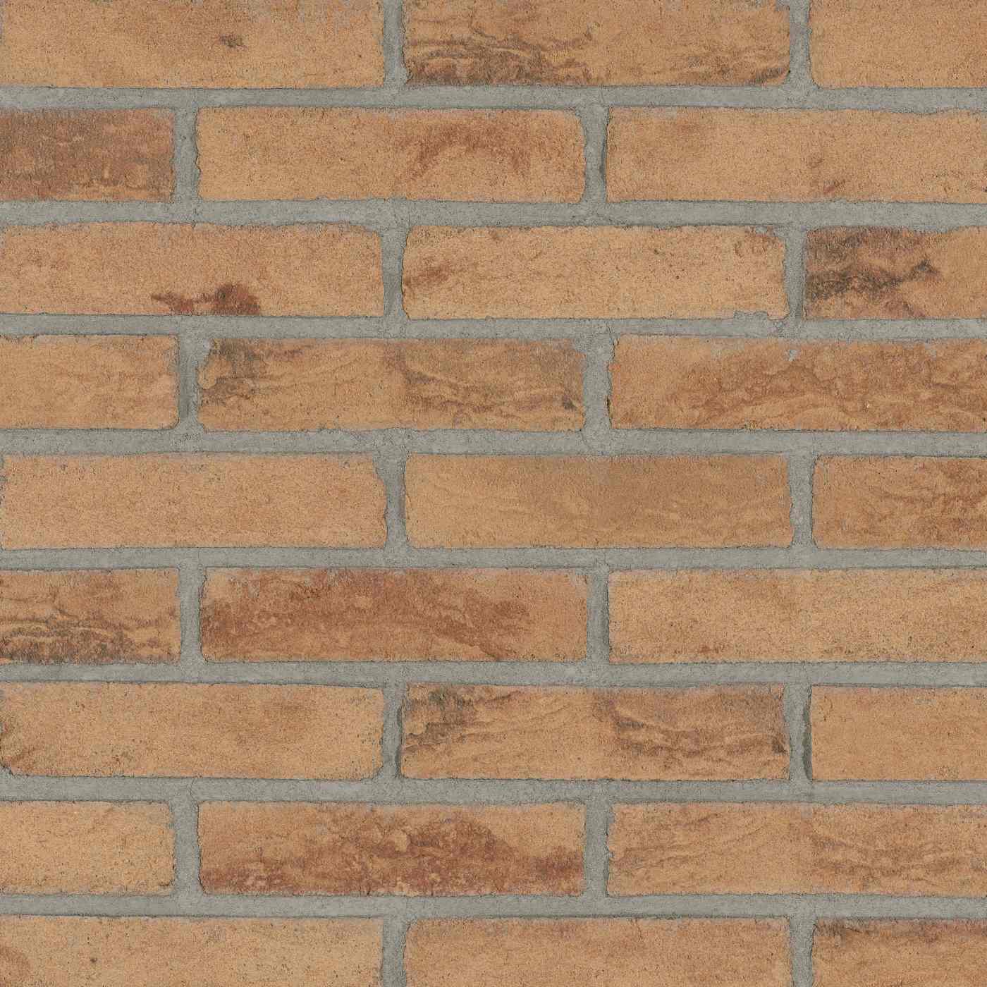 Productshot van de Elbe Sand HV WF Strip 18 mm