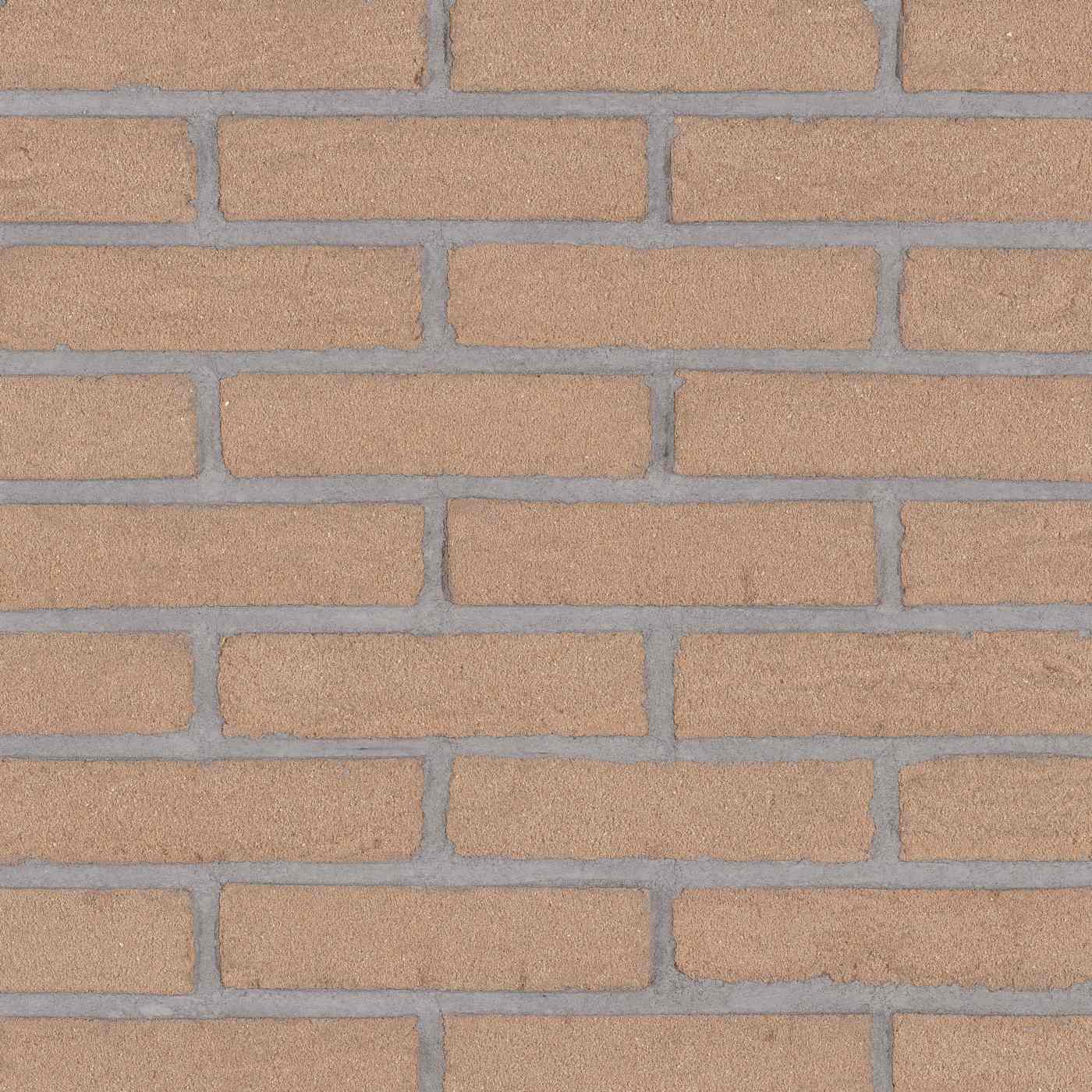 Productshot van de Saxong Beige HV WF Strip 18 mm